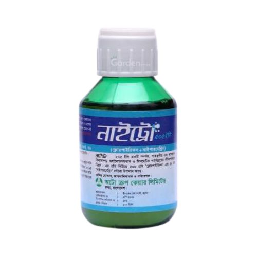 Untitled design (10)